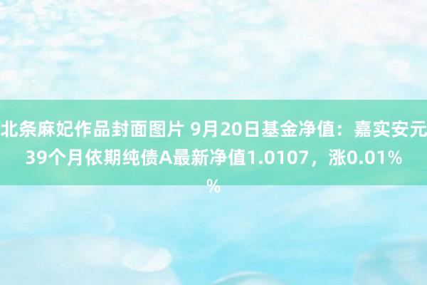 北条麻妃作品封面图片 9月20日基金净值：嘉实安元39个月依期纯债A最新净值1.0107，涨0.01%