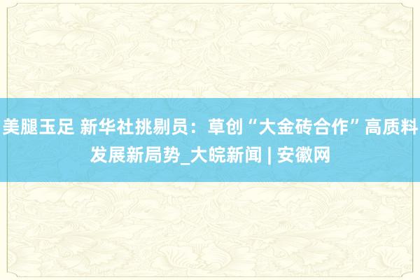美腿玉足 新华社挑剔员：草创“大金砖合作”高质料发展新局势_大皖新闻 | 安徽网