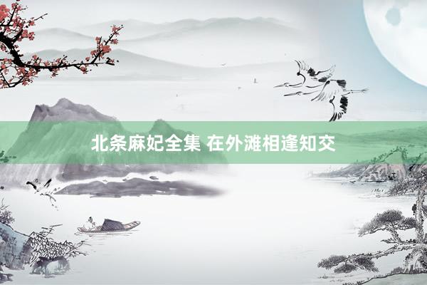北条麻妃全集 在外滩相逢知交