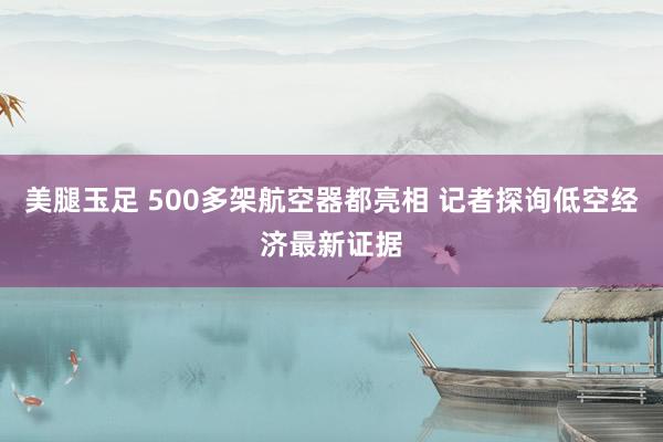 美腿玉足 500多架航空器都亮相 记者探询低空经济最新证据