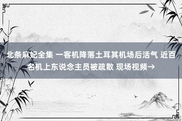 北条麻妃全集 一客机降落土耳其机场后活气 近百名机上东说念主员被疏散 现场视频→