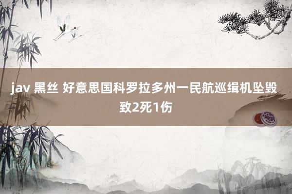 jav 黑丝 好意思国科罗拉多州一民航巡缉机坠毁 致2死1伤