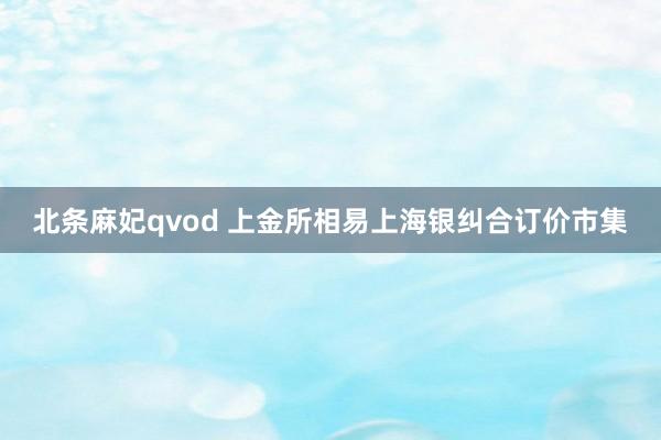北条麻妃qvod 上金所相易上海银纠合订价市集