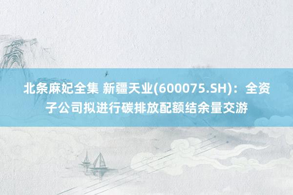 北条麻妃全集 新疆天业(600075.SH)：全资子公司拟进行碳排放配额结余量交游