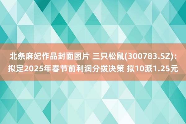 北条麻妃作品封面图片 三只松鼠(300783.SZ)：拟定2025年春节前利润分拨决策 拟10派1.25元