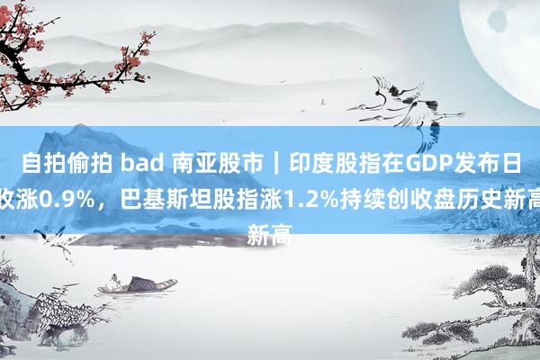 自拍偷拍 bad 南亚股市｜印度股指在GDP发布日收涨0.9%，巴基斯坦股指涨1.2%持续创收盘历史新高