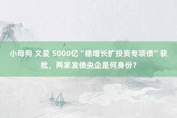 小母狗 文爱 5000亿“稳增长扩投资专项债”获批，两家发债央企是何身份？
