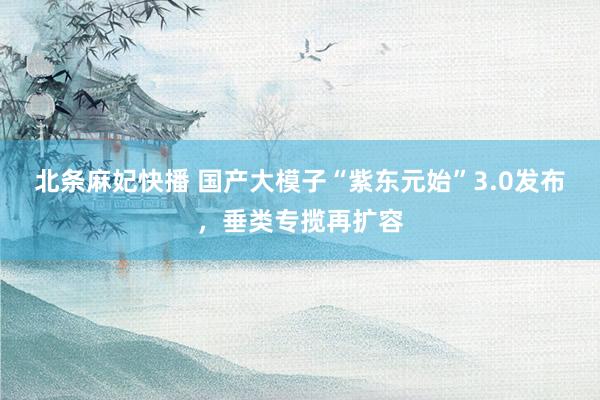 北条麻妃快播 国产大模子“紫东元始”3.0发布，垂类专揽再扩容