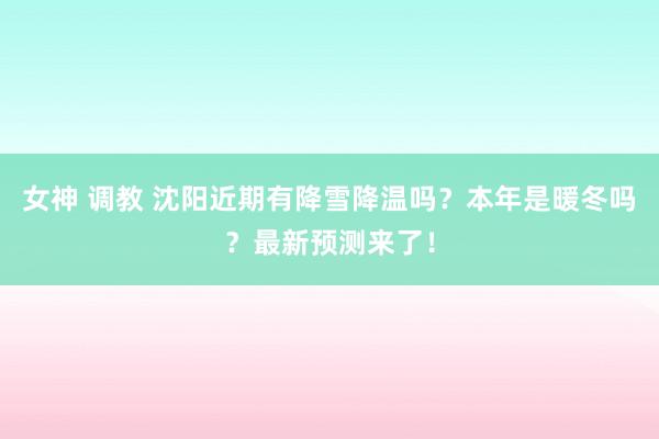 女神 调教 沈阳近期有降雪降温吗？本年是暖冬吗？最新预测来了！