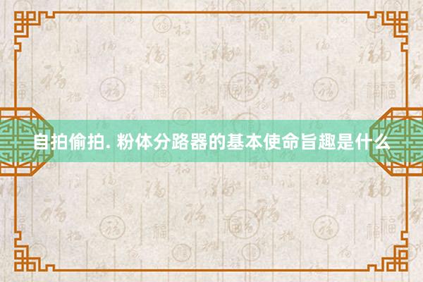 自拍偷拍. 粉体分路器的基本使命旨趣是什么