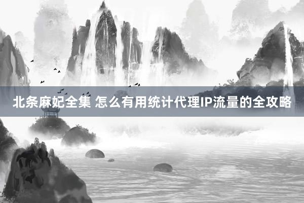 北条麻妃全集 怎么有用统计代理IP流量的全攻略