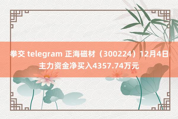 拳交 telegram 正海磁材（300224）12月4日主力资金净买入4357.74万元