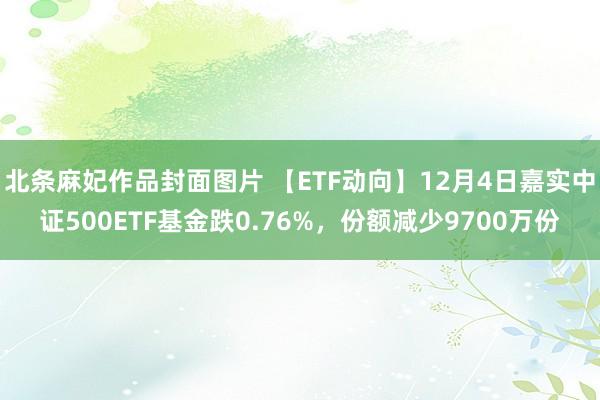 北条麻妃作品封面图片 【ETF动向】12月4日嘉实中证500ETF基金跌0.76%，份额减少9700万份
