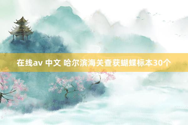 在线av 中文 哈尔滨海关查获蝴蝶标本30个