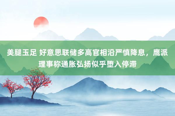 美腿玉足 好意思联储多高官相沿严慎降息，鹰派理事称通胀弘扬似乎堕入停滞