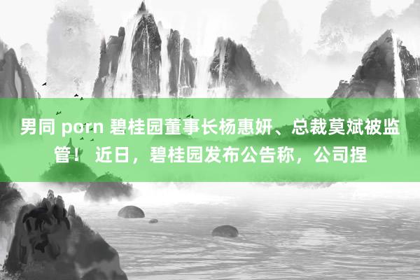 男同 porn 碧桂园董事长杨惠妍、总裁莫斌被监管！ 近日，碧桂园发布公告称，公司捏