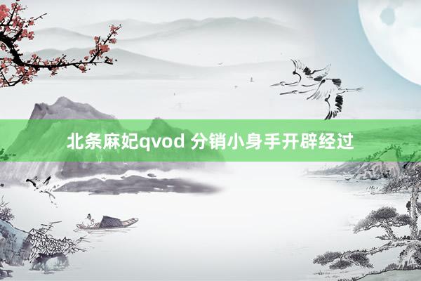 北条麻妃qvod 分销小身手开辟经过