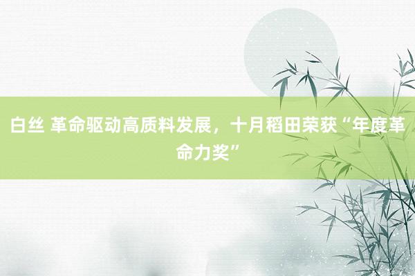 白丝 革命驱动高质料发展，十月稻田荣获“年度革命力奖”