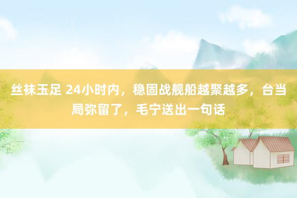 丝袜玉足 24小时内，稳固战舰船越聚越多，台当局弥留了，毛宁送出一句话