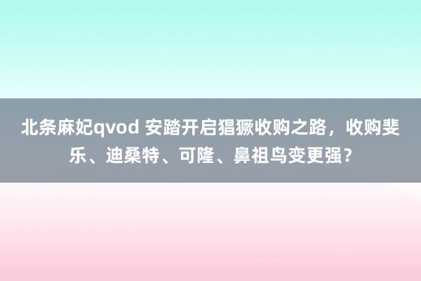 北条麻妃qvod 安踏开启猖獗收购之路，收购斐乐、迪桑特、可隆、鼻祖鸟变更强？