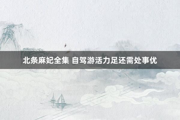 北条麻妃全集 自驾游活力足还需处事优