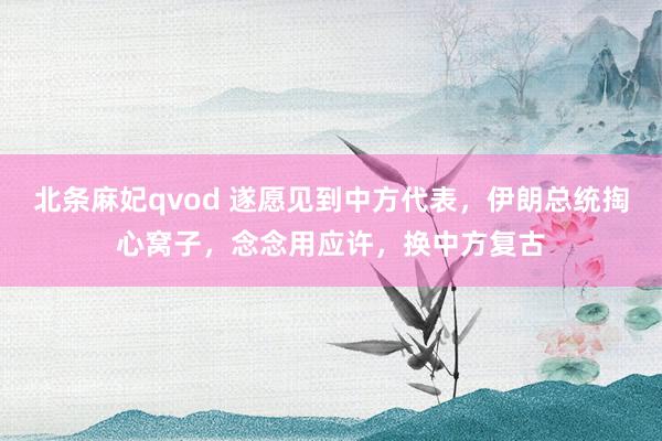 北条麻妃qvod 遂愿见到中方代表，伊朗总统掏心窝子，念念用应许，换中方复古