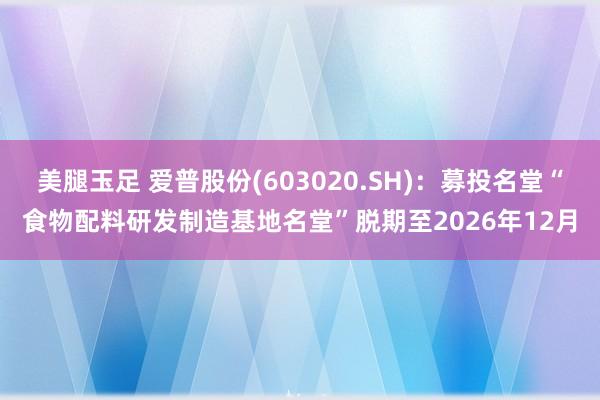 美腿玉足 爱普股份(603020.SH)：募投名堂“食物配料研发制造基地名堂”脱期至2026年12月