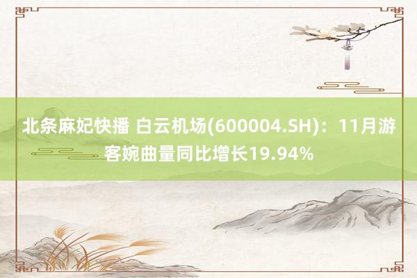 北条麻妃快播 白云机场(600004.SH)：11月游客婉曲量同比增长19.94%