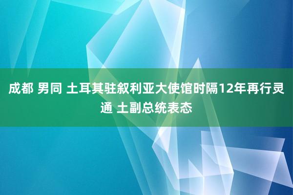 成都 男同 土耳其驻叙利亚大使馆时隔12年再行灵通 土副总统表态