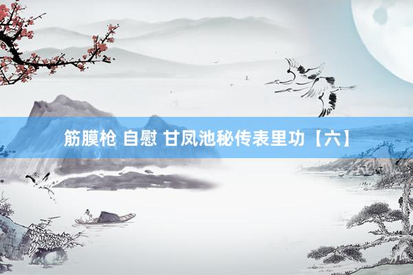 筋膜枪 自慰 甘凤池秘传表里功【六】
