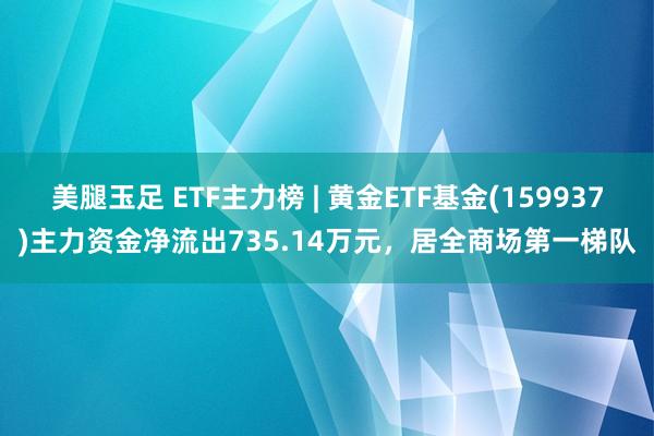 美腿玉足 ETF主力榜 | 黄金ETF基金(159937)主力资金净流出735.14万元，居全商场第一梯队