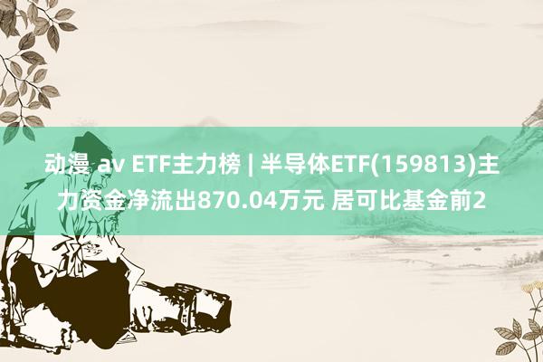 动漫 av ETF主力榜 | 半导体ETF(159813)主力资金净流出870.04万元 居可比基金前2