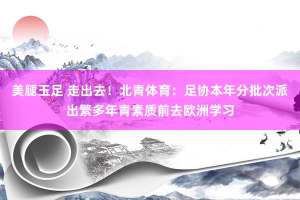 美腿玉足 走出去！北青体育：足协本年分批次派出繁多年青素质前去欧洲学习