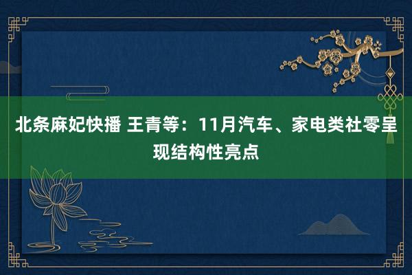 北条麻妃快播 王青等：11月汽车、家电类社零呈现结构性亮点