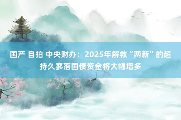 国产 自拍 中央财办：2025年解救“两新”的超持久寥落国债资金将大幅增多