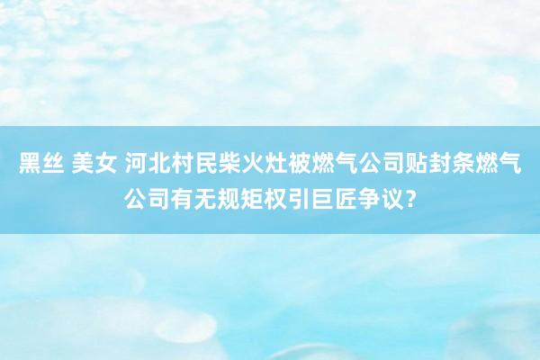 黑丝 美女 河北村民柴火灶被燃气公司贴封条燃气公司有无规矩权引巨匠争议？
