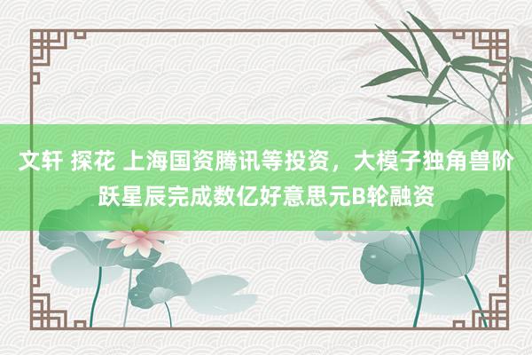 文轩 探花 上海国资腾讯等投资，大模子独角兽阶跃星辰完成数亿好意思元B轮融资