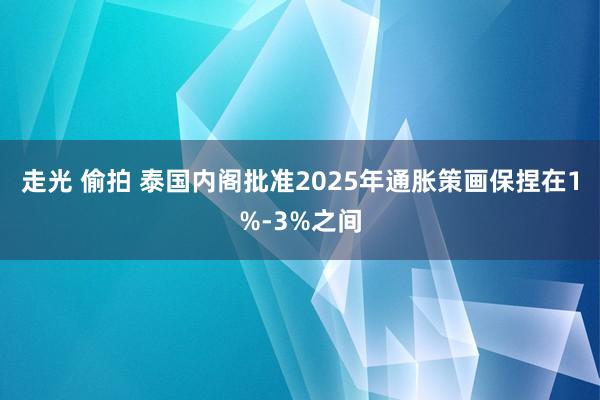 走光 偷拍 泰国内阁批准2025年通胀策画保捏在1%-3%之间