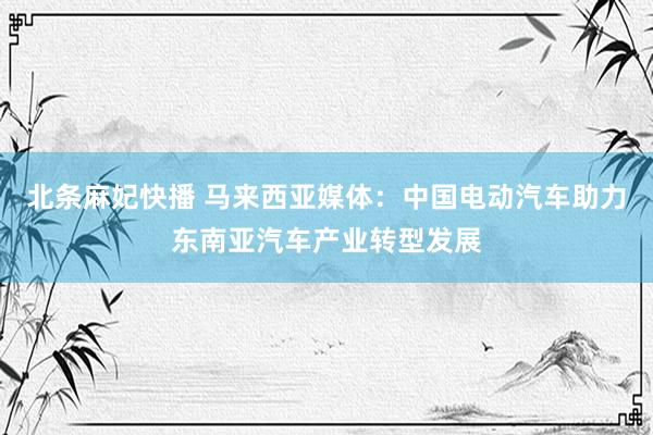 北条麻妃快播 马来西亚媒体：中国电动汽车助力东南亚汽车产业转型发展