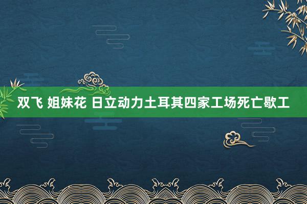 双飞 姐妹花 日立动力土耳其四家工场死亡歇工