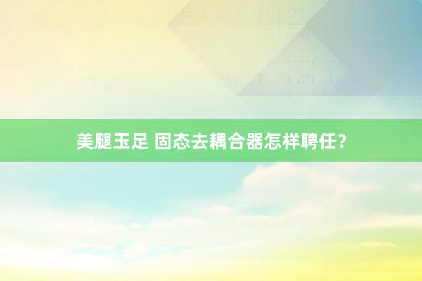美腿玉足 固态去耦合器怎样聘任？