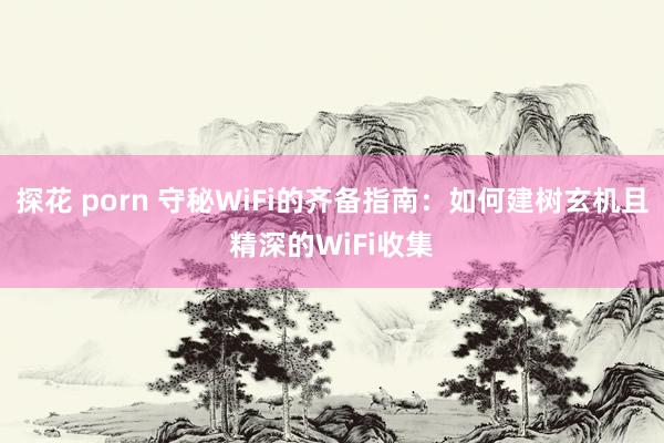 探花 porn 守秘WiFi的齐备指南：如何建树玄机且精深的WiFi收集