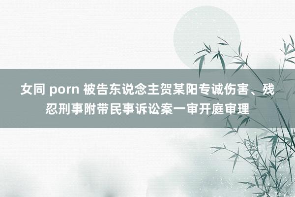 女同 porn 被告东说念主贺某阳专诚伤害、残忍刑事附带民事诉讼案一审开庭审理