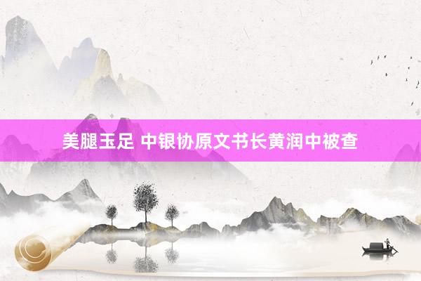 美腿玉足 中银协原文书长黄润中被查