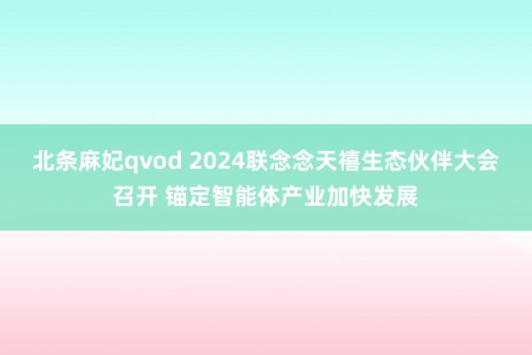 北条麻妃qvod 2024联念念天禧生态伙伴大会召开 锚定智能体产业加快发展