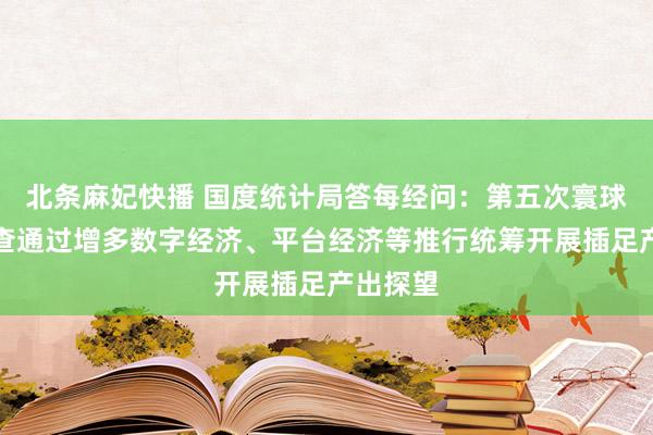 北条麻妃快播 国度统计局答每经问：第五次寰球经济普查通过增多数字经济、平台经济等推行统筹开展插足产出探望