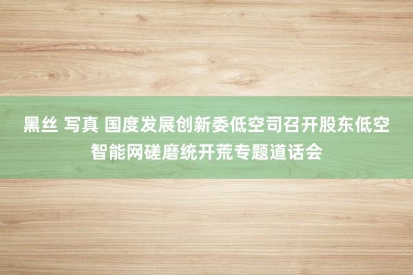 黑丝 写真 国度发展创新委低空司召开股东低空智能网磋磨统开荒专题道话会