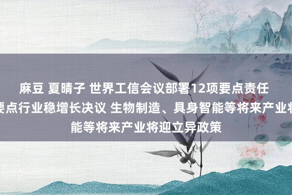 麻豆 夏晴子 世界工信会议部署12项要点责任 筹画新一轮要点行业稳增长决议 生物制造、具身智能等将来产业将迎立异政策