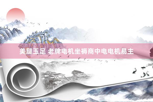 美腿玉足 老牌电机坐褥商中电电机易主