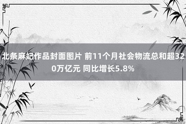北条麻妃作品封面图片 前11个月社会物流总和超320万亿元 同比增长5.8%
